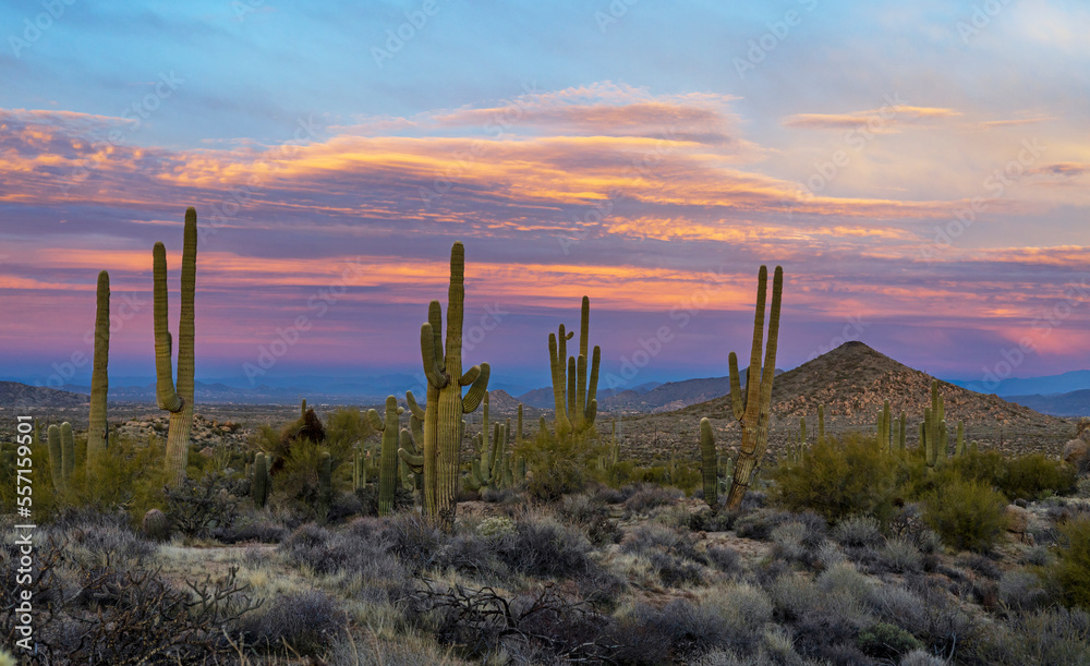 Colorful Arizona Desert Sunrise Skies With Cactus & Mountains In Background