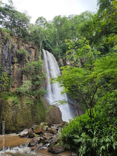 waterfall in the forest