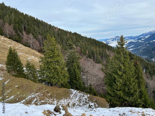 Late autumn atmosphe with the first snow on the mixed trees in the alpine area of the Alpstein mountain massif, Urnäsch (Urnaesch or Urnasch) - Canton of Appenzell Innerrhoden, Switzerland (Schweiz) photo