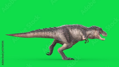 TRex Tyrannosaurus Green Screen Runcycle Jurassic Loop 3D Animations Rendering CGI photo