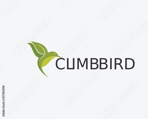 Colorful calibri bird logo vector logo