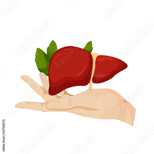 Factors affecting liver health. Vector illustration. Picture for Liver Awareness Month.  Human take care of the liver