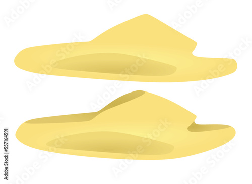 Yellow man slippers. vector illustration