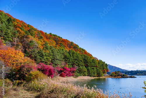 山梨県富士河口湖町 紅葉シーズンの河口湖