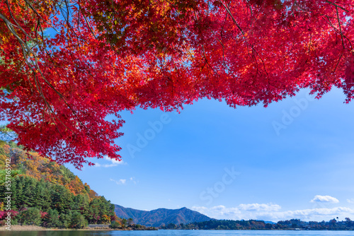 山梨県富士河口湖町　紅葉シーズンの河口湖 © あんみつ姫
