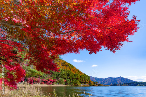 山梨県富士河口湖町 紅葉シーズンの河口湖