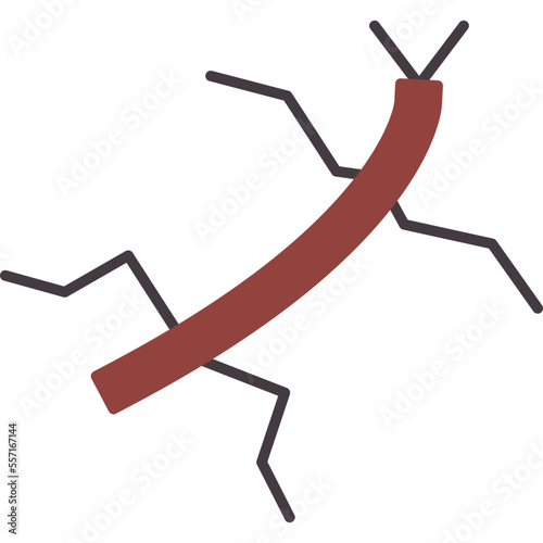 Insect Icon