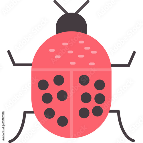 Beetle Icon