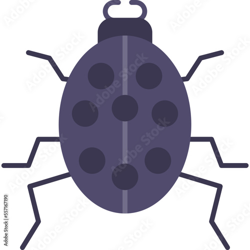 Beetle Icon