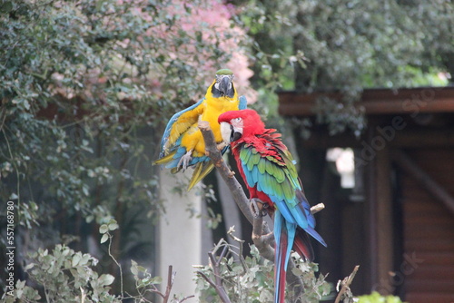 Zoo de la Palmyre, France Royan photo