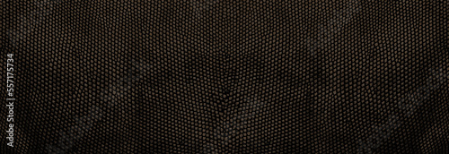 reptile lizard skin texture