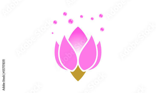 Abstract flower logo design. Linear lotus vector design. Elegant water lily logotype 