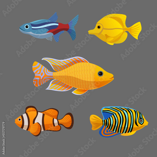 Five items are different fish illustrations.