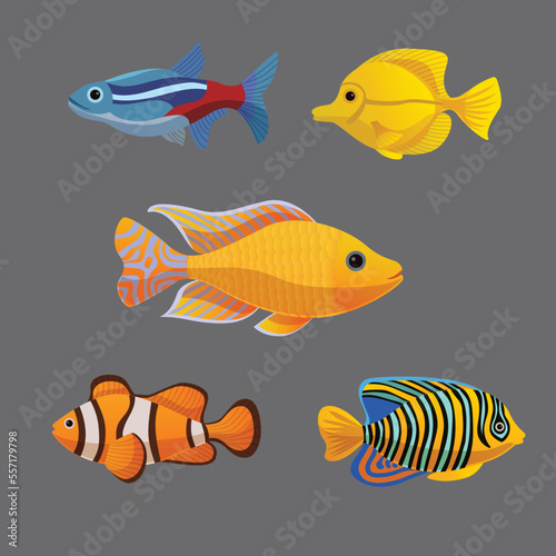 Five items are different fish illustrations.