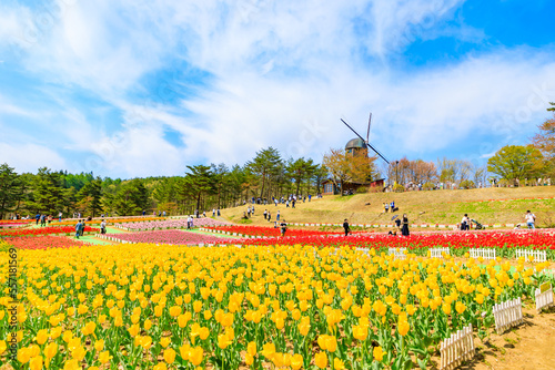 雪谷川ダムフォリストパーク・軽米チューリップ園