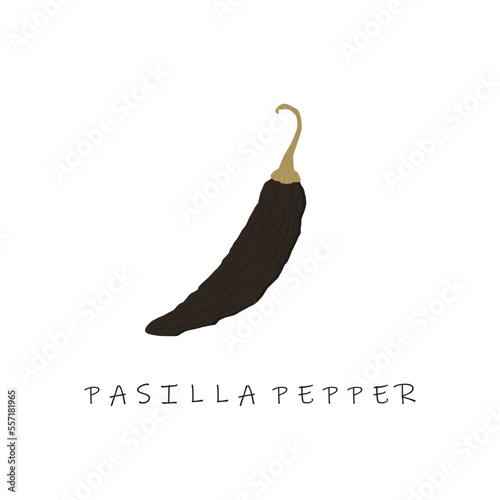 pasilla pepper flat design vector illustration photo