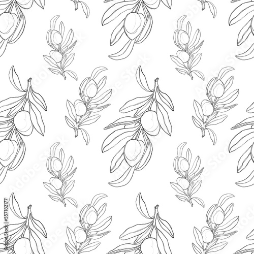 seamless floral pattern. Minimalist pattern with olive branches. Pattern for the kitchen  for textiles  for the office. Printer for wrapping paper.