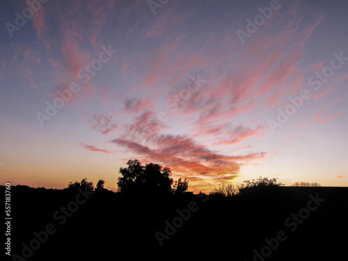 sunset in the field photo