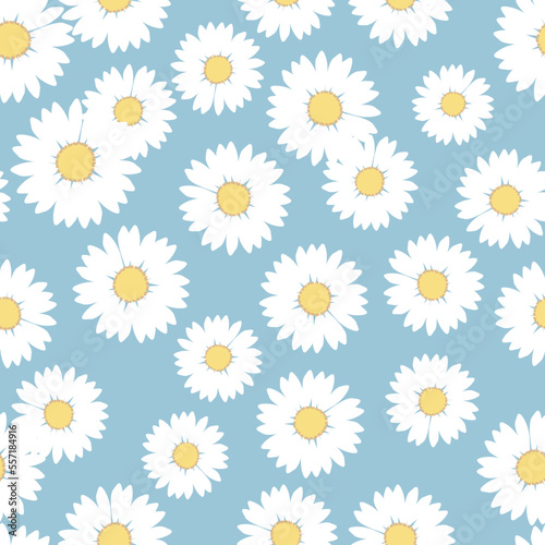 Hand drawn daisy flower doodle seamless pattern