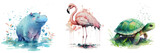 Safari Animal set hippo, flamingo and turtle in watercolor style. Isolated vector illustration