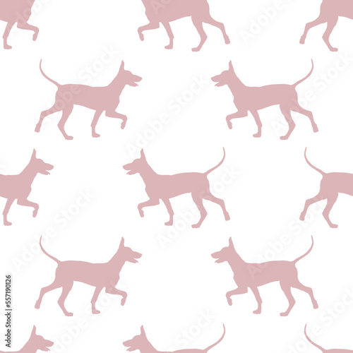 Seamless pattern. Walking mexican hairless dog puppy isolated on white background. Dog silhouette. Endless texture. Design for wallpaper, fabric, template, surface design. Vector illustration.