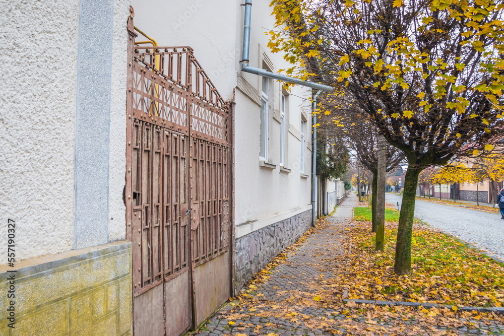 Pavement road in a small town in autumn in cloudy day. Yellow leaves and trees in autumn. Picturesque European street in a small town with beautiful old houses and paving stones. Mukachevo.Ukraine