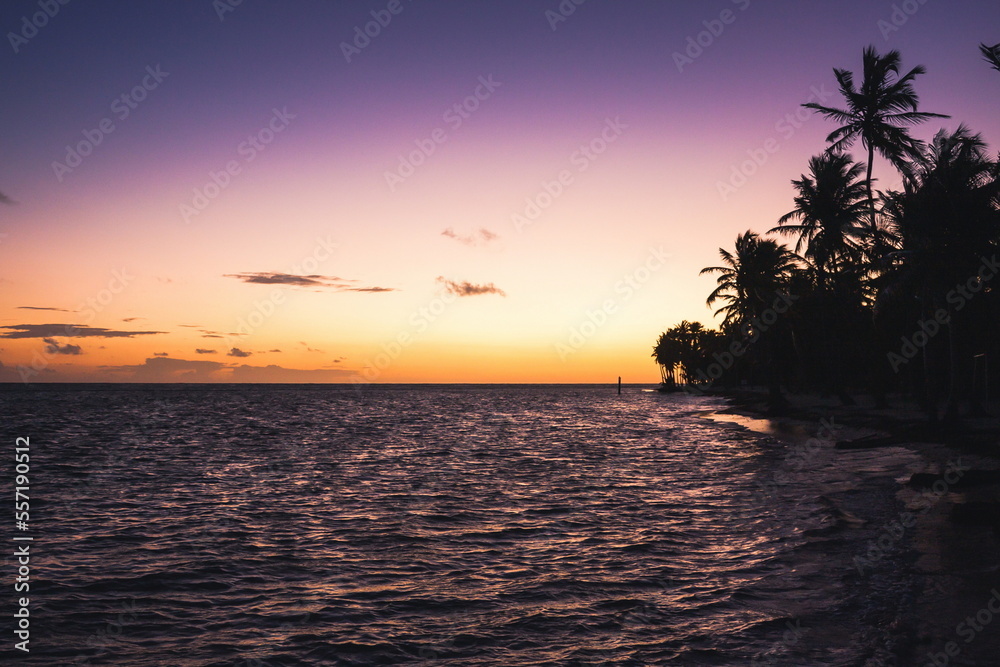 Beautiful sunrise at sea. Last minutes before dawn on the Atlantic ocean. The sun beyond horizon. Palm trees against the background of the rising sun. Tropical sunrise. Dominican Republic