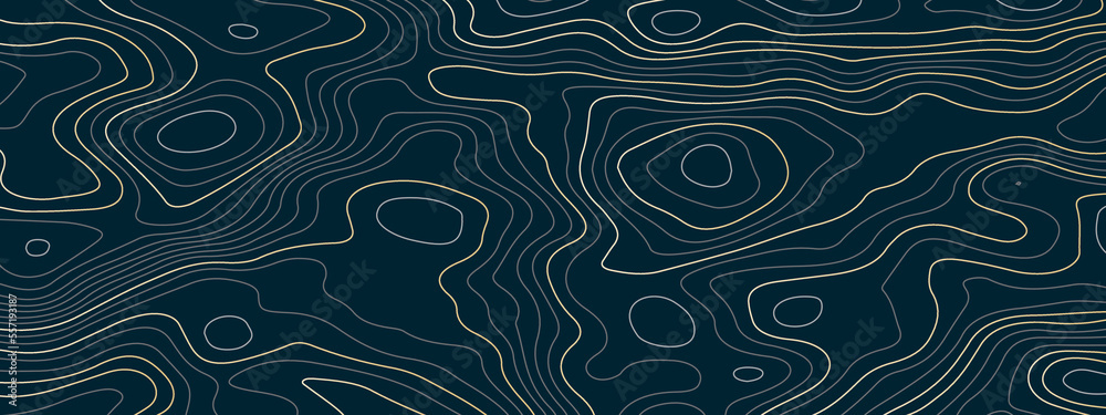 Abstract Topographic Contours Map Background Topography Lines And