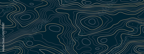 Abstract topographic contours map background. Topography lines and circles background. Topographic map Patterns, Topographic map and place for texture. Vector illustration.