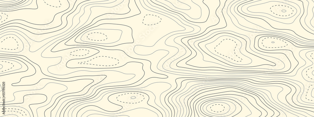 Abstract Topographic Contours Map Background Topography Lines And