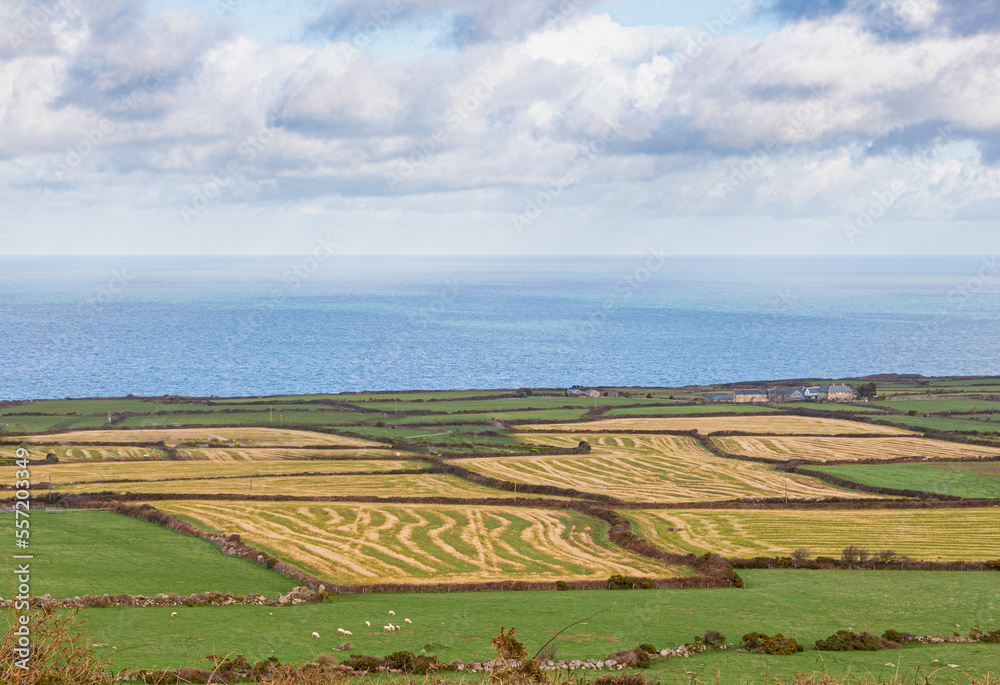 Looking out to sea over Cornish fields, St Ives Looking out to sea over Cornish fields, St Ives