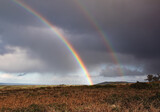 Cornish Rainbow