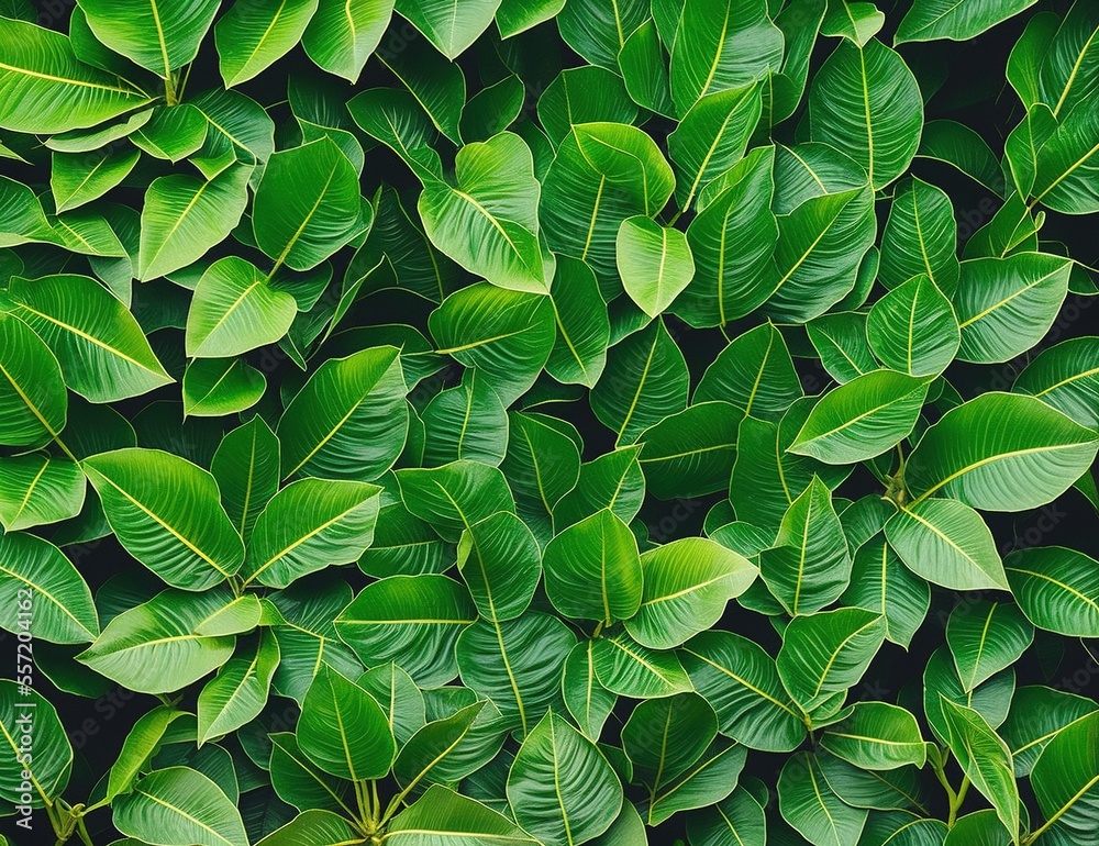 green leaves background green leaves background