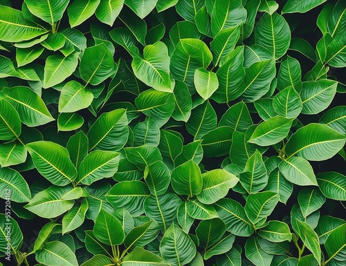 green leaves background