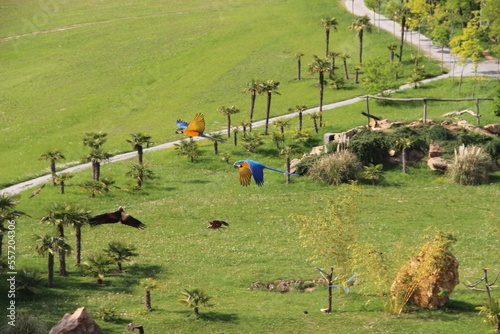 Zoo de Beauval - France