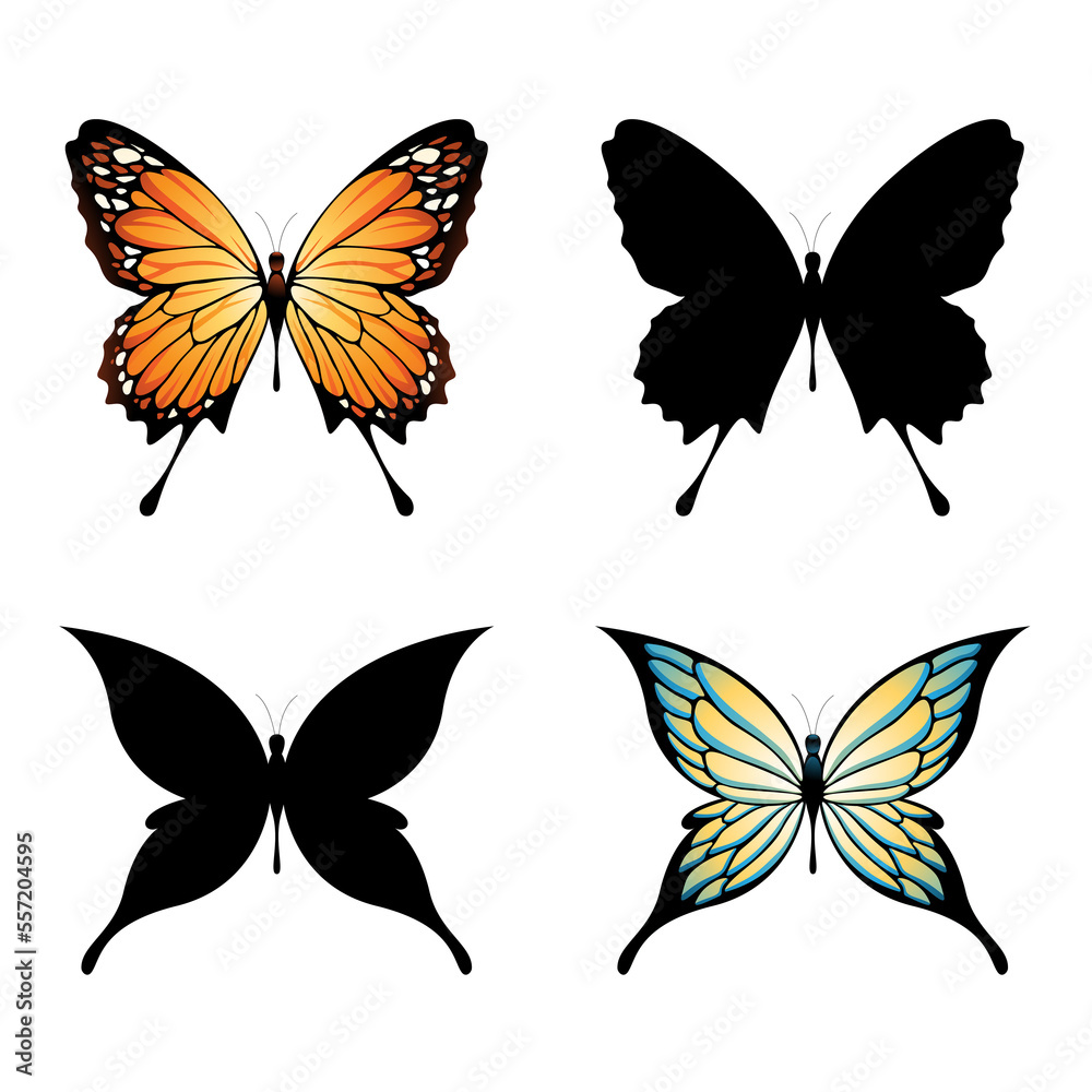 Colorful Butterflies and Butterfly Silhouettes