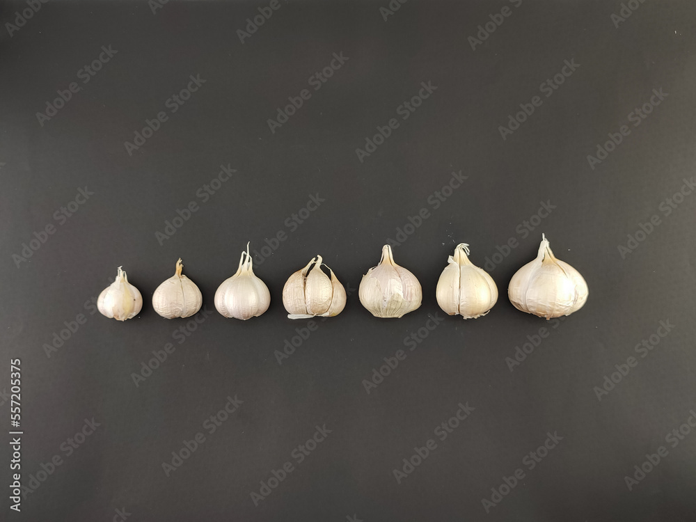Collection of garlic. herbs and spices. main seasoning. with a neatly arranged concept, on a black background, on black paper. seen from above. Collection of garlic. herbs and spices. main seasoning. with a neatly arranged concept, on a black background, on black paper. seen from above.