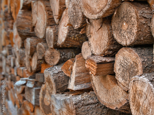 Closeup of stacked firewood with a plane of focus