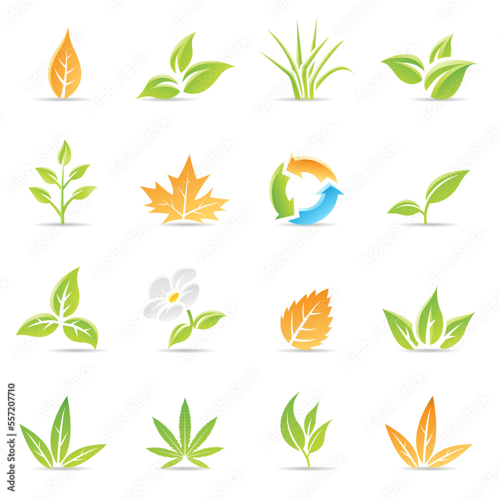 Fototapeta premium Glossy Leaves with Recycling Symbol and Daisy Flower