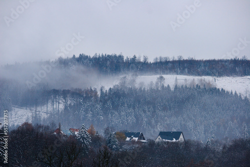 Nebel im Winterwald