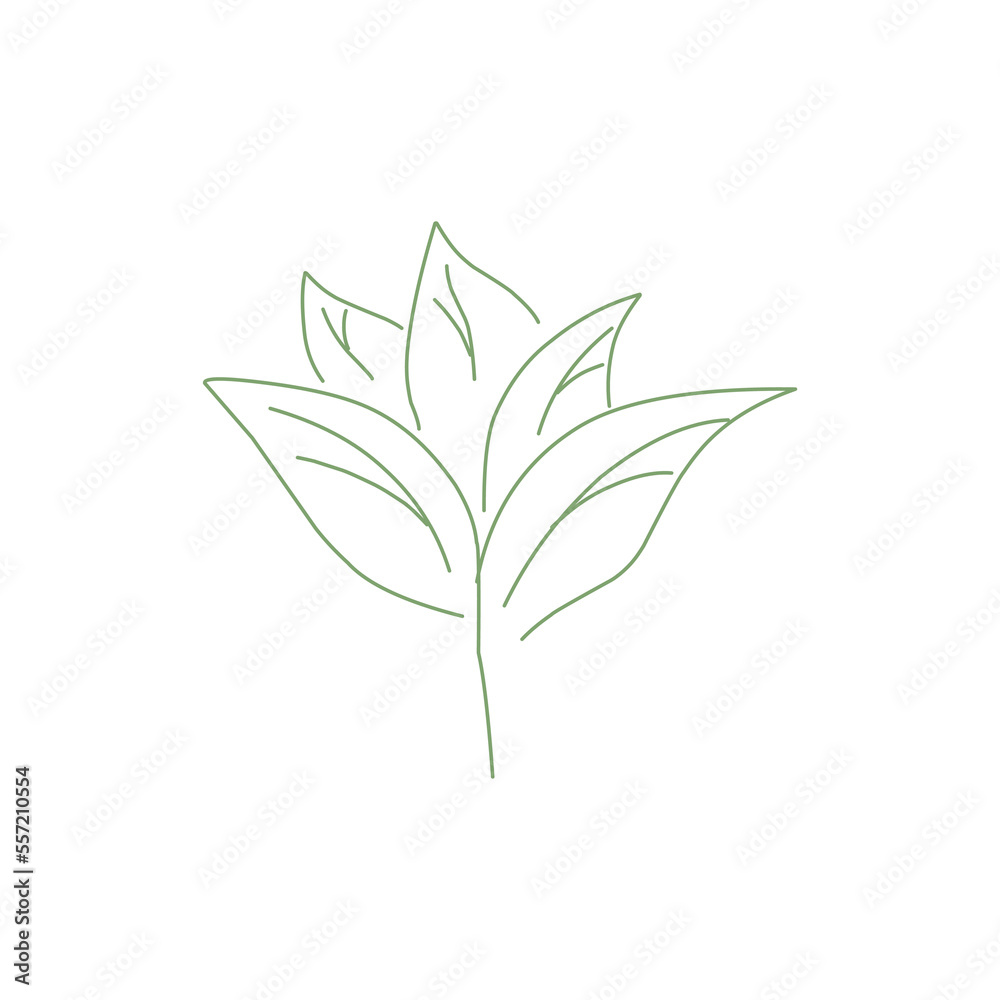 tobacco leaf vector. tobacco icon. cigarette.