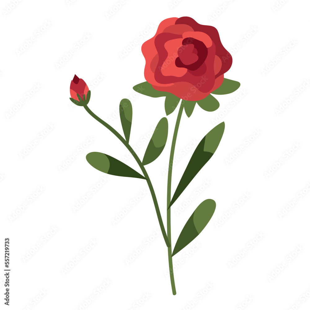rose flower garden rose flower garden
