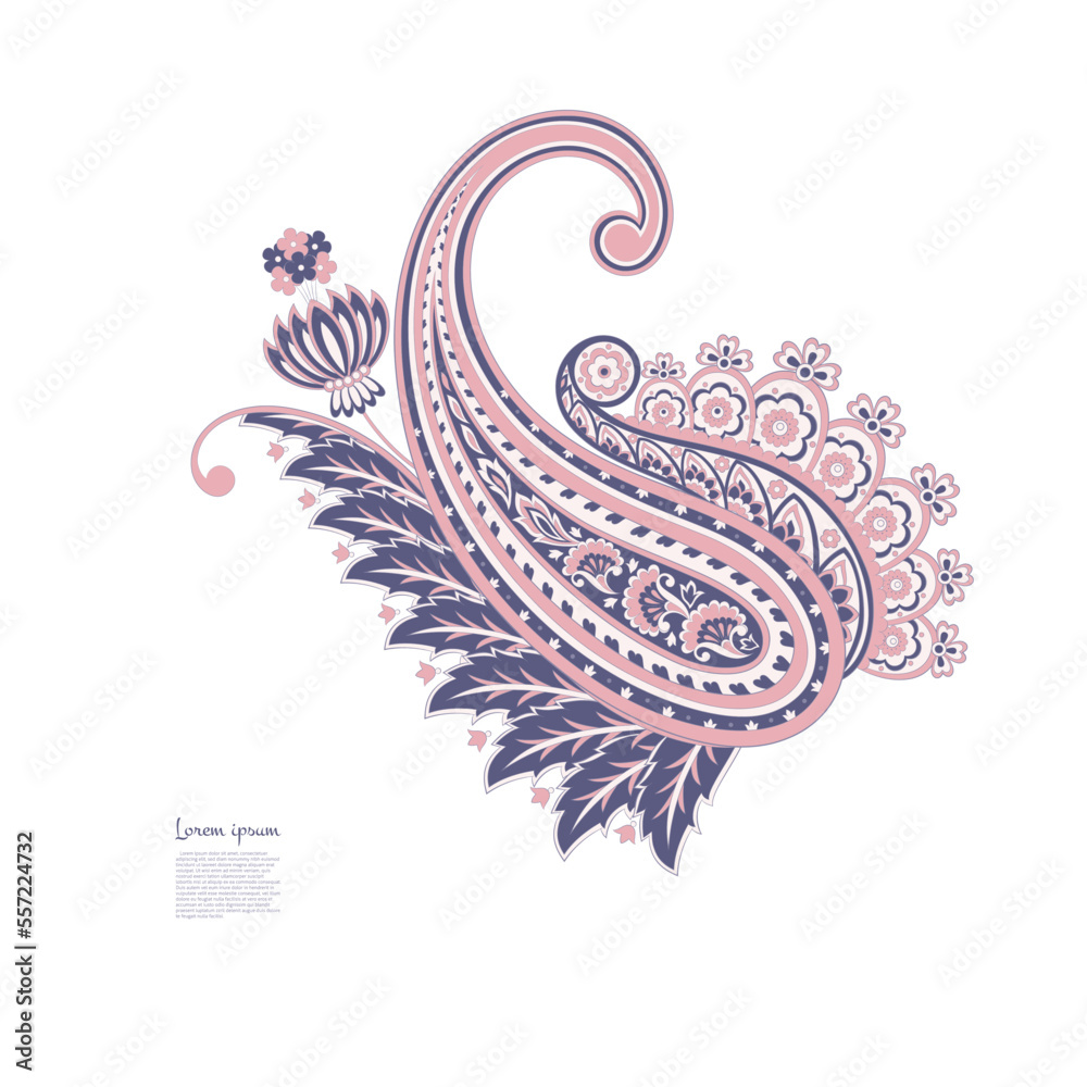 Vector set of isolated elements paisley, flowers and leaf for you own design