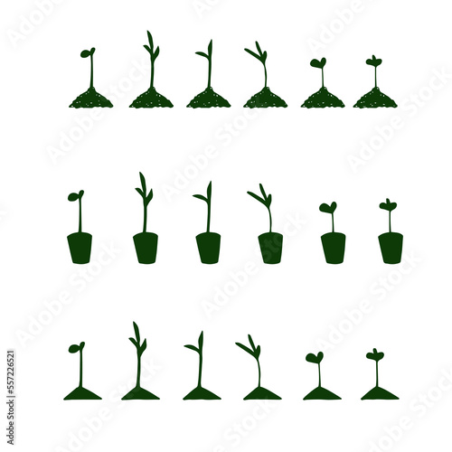 Seedlings in hand drawn doodle style. Garden vector illustration.