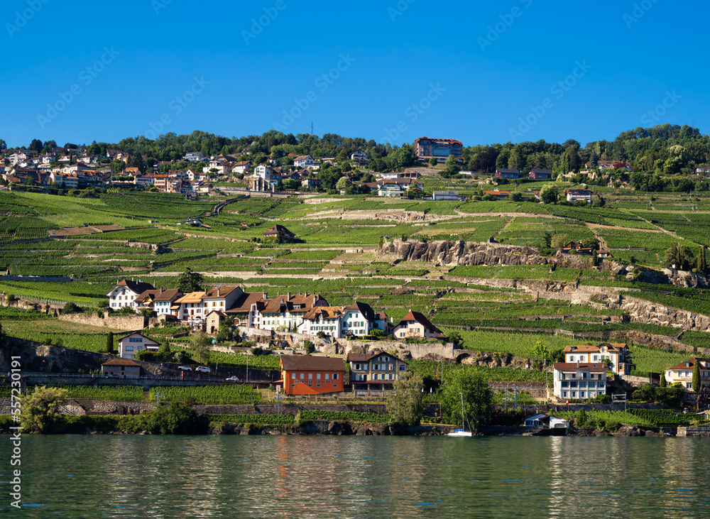 Obraz premium View from Lake Geneva in Switzerland at the village of Rivaz and the Lavaux vineyard terraces - Unesco Heritage