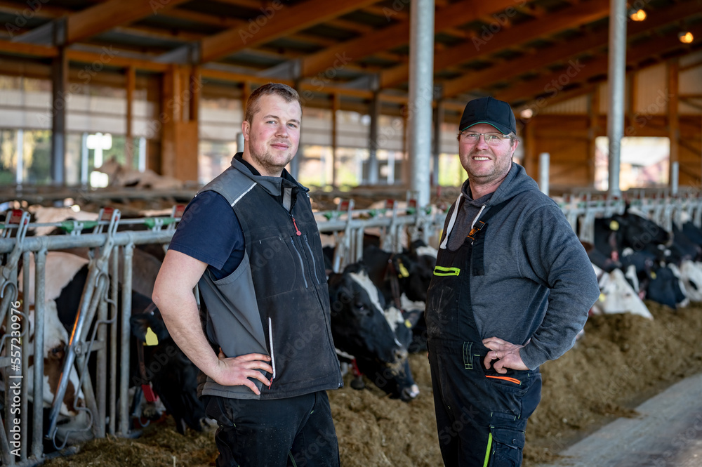 Vater und Sohn, beide Landwirte stehen zufrieden in ihrem modernen Kuhstall.