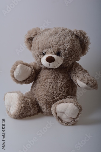 gray teddy bear on a light background
