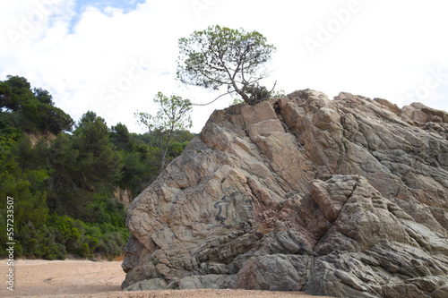 bucht von cala canyelles in spanien