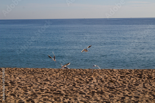 Strand bei schlechtem Wetter in Blanes, Sonnenuntergang