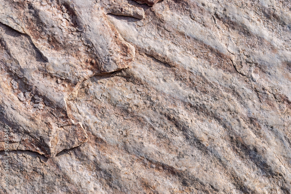 Fossilized ripples in stone